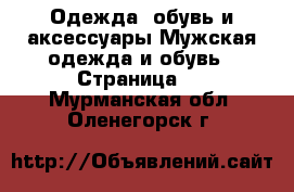 Одежда, обувь и аксессуары Мужская одежда и обувь - Страница 8 . Мурманская обл.,Оленегорск г.
